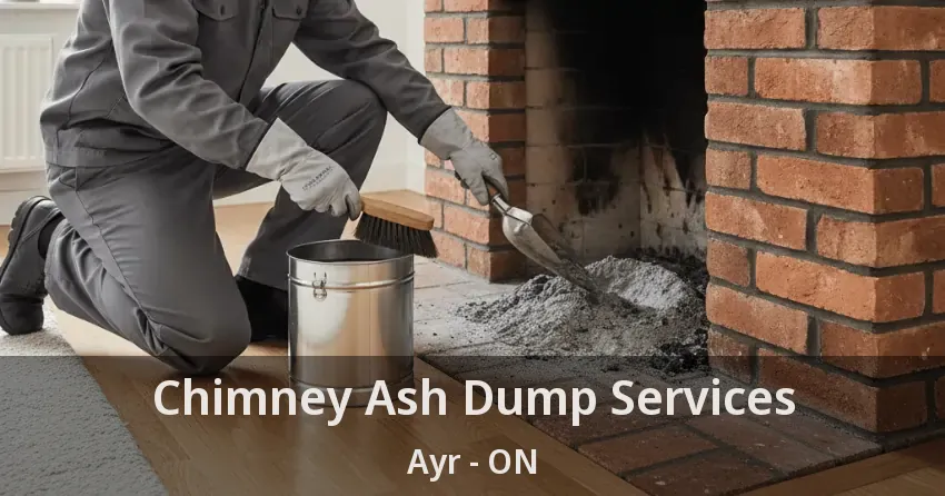 Chimney Ash Dump Services Ayr - ON