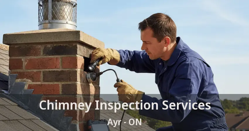 Chimney Inspection Services Ayr - ON