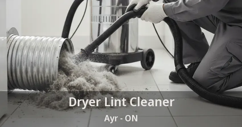 Dryer Lint Cleaner Ayr - ON