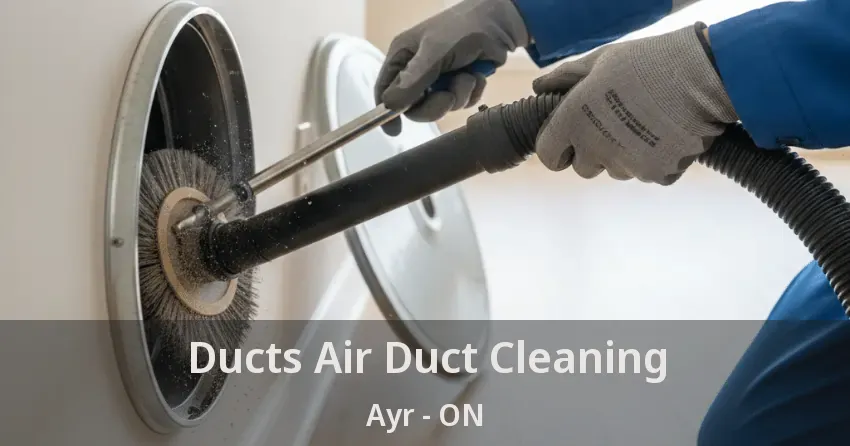 Ducts Air Duct Cleaning Ayr - ON