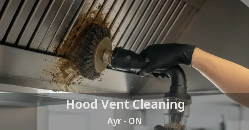 Hood Vent Cleaning Ayr - ON