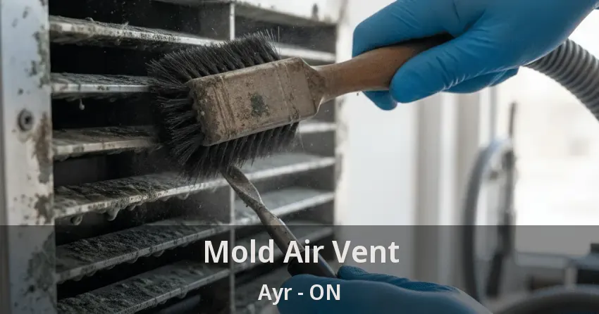 Mold Air Vent Ayr - ON Mold Air Vent Ayr - ON